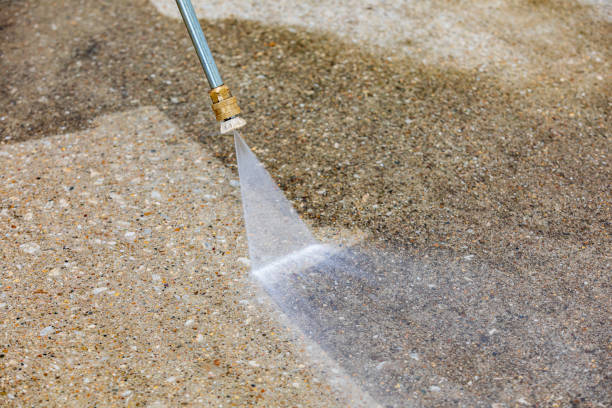 Best Driveway Pressure Washing  in Madisonville, TX