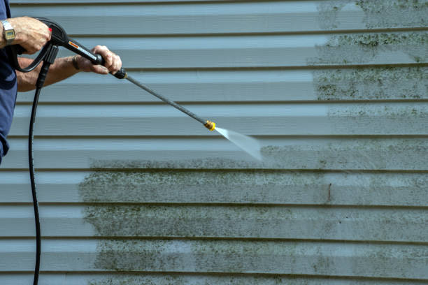 Best Patio and Deck Pressure Washing  in Madisonville, TX